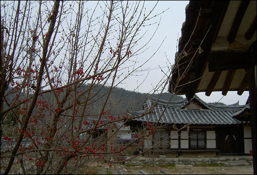 갈암종택은 조선 숙종 때 문신이자 퇴계 이황의 학통을 계승한 성리학자로 영남학파 거두 ‘갈암 이현일’의 종택이다. 